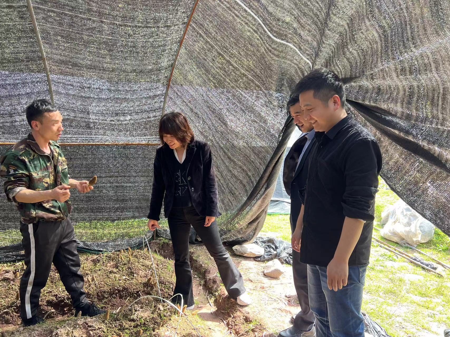 大满贯官网-不凡成绩非凡,相信品牌的实力