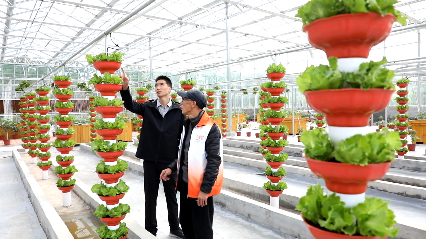 大满贯官网-不凡成绩非凡,相信品牌的实力