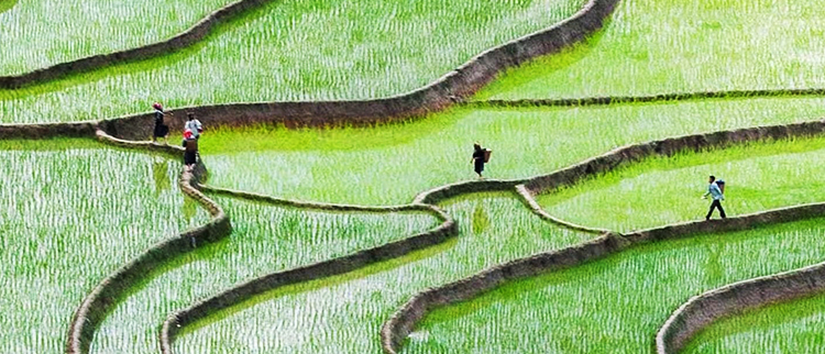 大满贯官网-不凡成绩非凡,相信品牌的实力