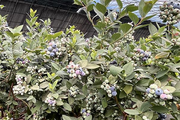 大满贯官网-不凡成绩非凡,相信品牌的实力